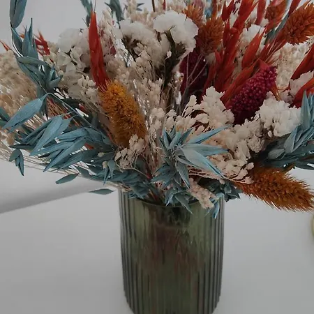 Apartment Caires Urban Nest